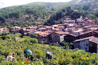 Tribuna de La Moraleja