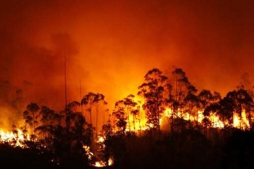 El fuego avanza en Fragas do Eume y aviva las protestas