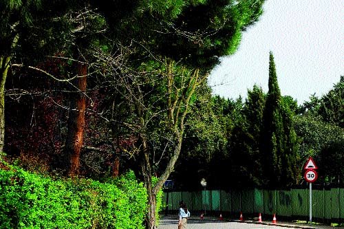 Reforma de las aceras en la calle Vereda Norte