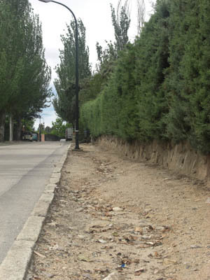 El ayuntamiento arreglará los ?pasillos de obstáculos?