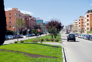 El Arroyo de La Vega aprueba sus presupuestos