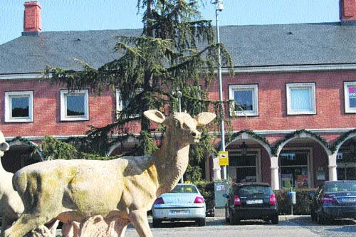 Roban los cuernos de un ciervo de La Plaza