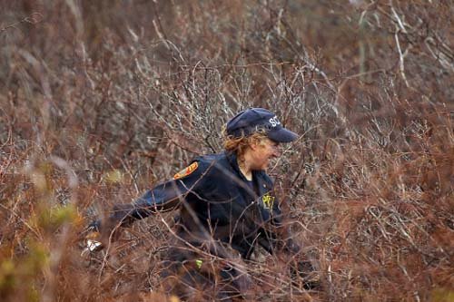 Long Island está sufriendo un asesino en serie