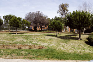Remodelación de una pradera en El Encinar