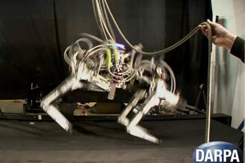 Guepardo robot superó la velocidad de Usain Bolt