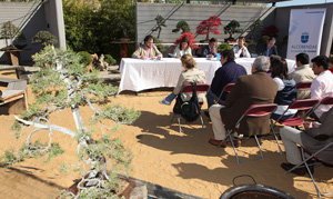 Los veranos de Alcobendas ofrecen actividades para todos