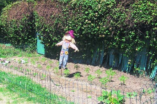 Usos indebidos en las zonas verdes de La Moraleja