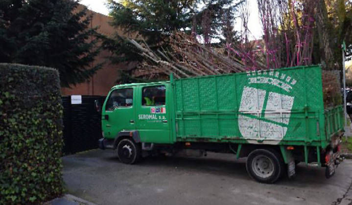 Últimos días de la Campaña Verde municipal