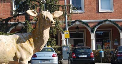 Localizado el ladrón del cuerno de los ciervos de La Plaza