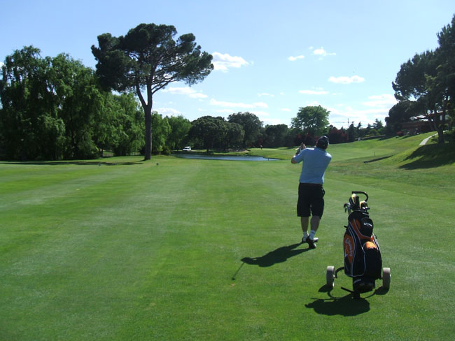 Dimite el Consejo  Club de Golf La Moraleja