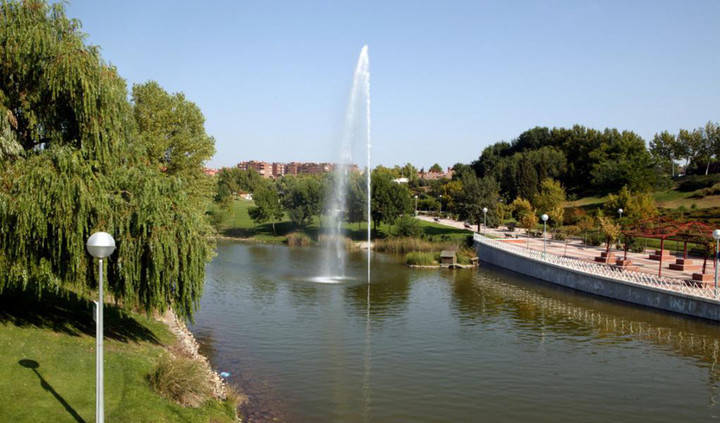 Aparecen patos muertos en el Parque de Andalucía