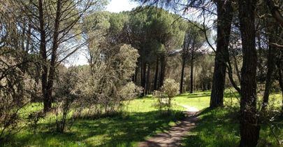 Apertura de Valdelatas, El Encinar, y El Pinar de San Isidro