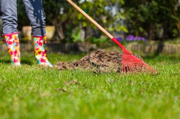 Cuidado de parcelas privadas, clave para prevenir incendios