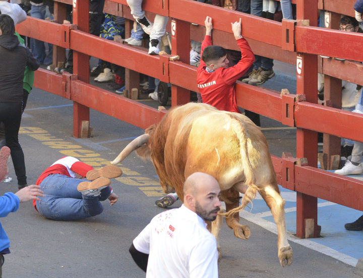 Segundo encierro con herido por asta de toro tras un recorrido vibrante y espectacular