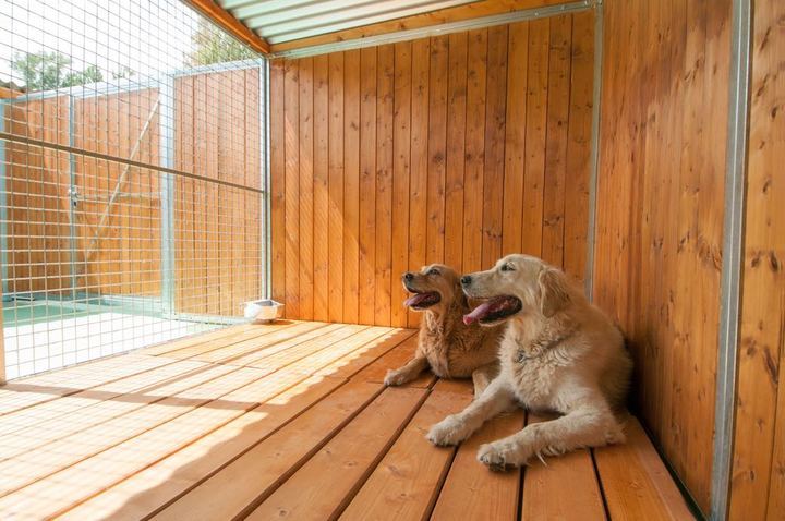 Abre sus puertas Sitcan, el mejor centro canino de Alto Rendimiento del Norte de Madrid