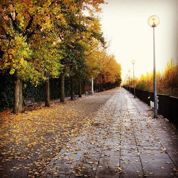 Ya está aquí “Alcobendas en Otoño”