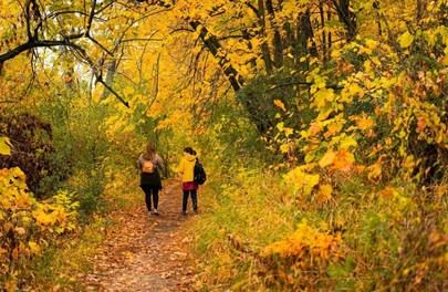Actividades culturales para jóvenes en diciembre en Sanse