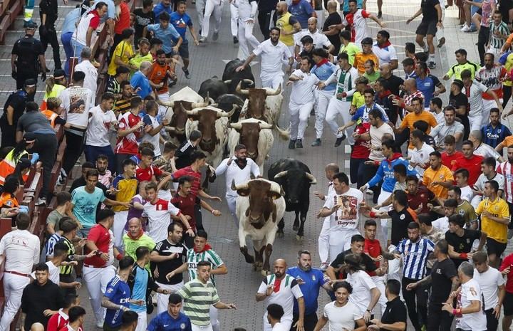 El último encierro de fiestas deja un herido por asta