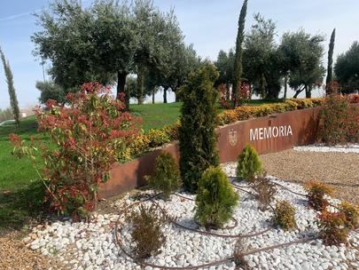 La importancia de mantener y aumentar las zonas arboladas en el Día del Árbol