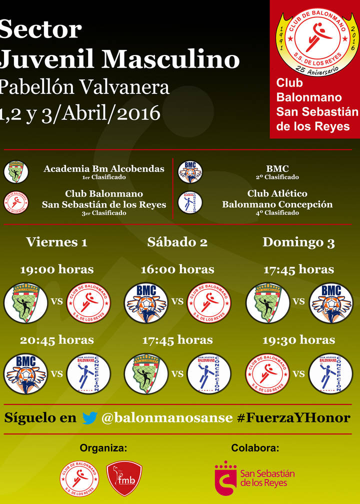 Fase Final del sector juvenil de balonamo regional en sanse