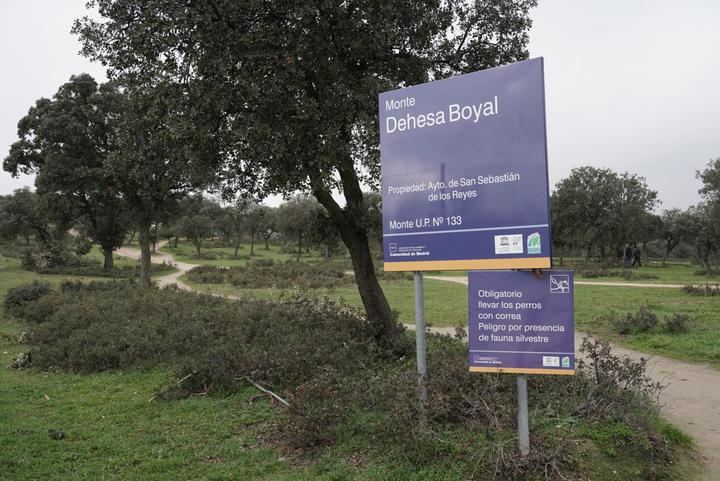 Comenzarán los trabajos silvícolas en la Dehesa Boyal