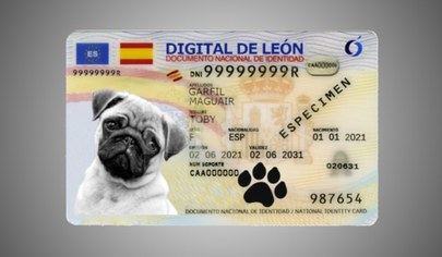 Todo sobre el DNI animal que ya está en vigor