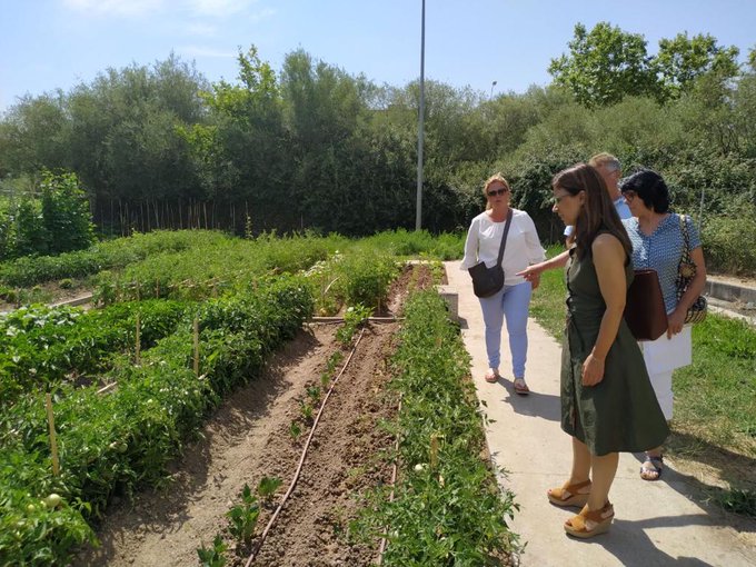 El Ayuntamiento de Sanse reabre sus huertos urbanos a los usuarios con nuevas medidas de prevención frente a la Covid-19