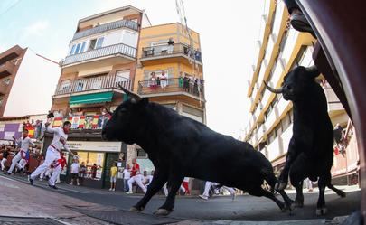 Dos toros se separan de la manada y causan el caos en el segundo encierro de San Sebastián de los Reyes