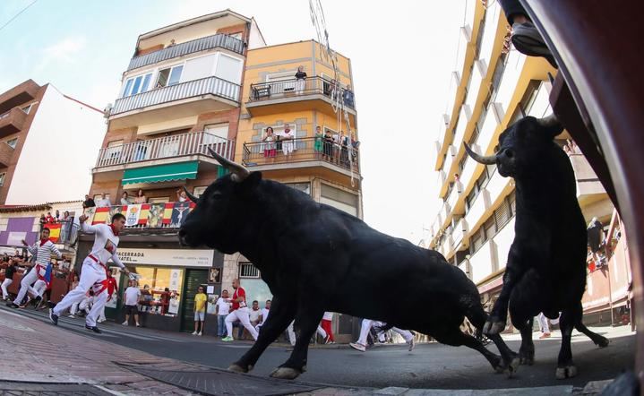 Dos toros se separan de la manada y causan el caos en el segundo encierro de San Sebastián de los Reyes