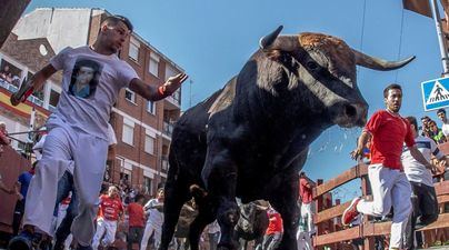 Once encierros en las Fiestas del Stmo. Cristo de los Remedios