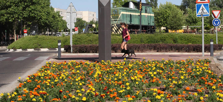 Alcobendas llena de flores las calles de la ciudad