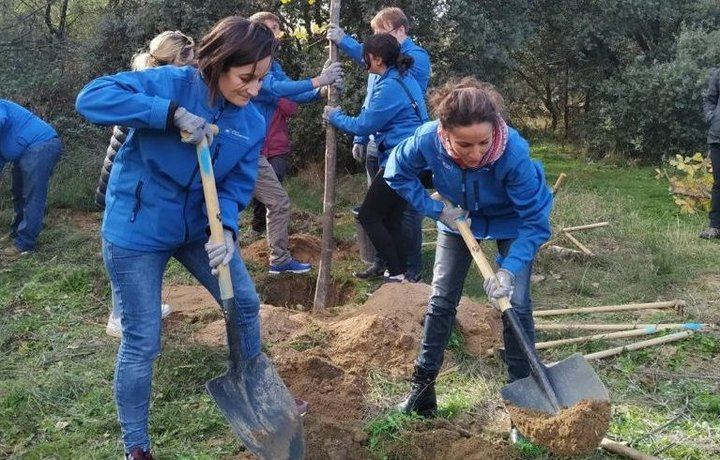 Más de 2.000 árboles para el municipio