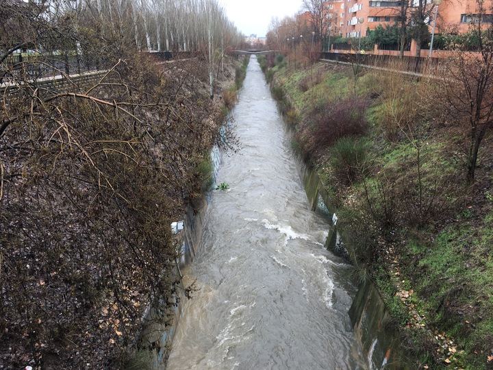 El Arroyo de la Vega se convierte en un ocasional rio