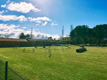 Abre sus puertas Sitcan, el mejor centro canino de Alto Rendimiento del Norte de Madrid