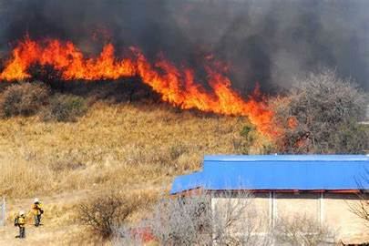 Consejos para evitar incendios forestales