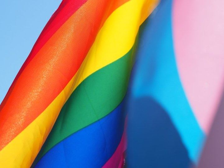 El PP de Alcobendas elimina el Punto de Atención e Información LGTBI+ municipal 