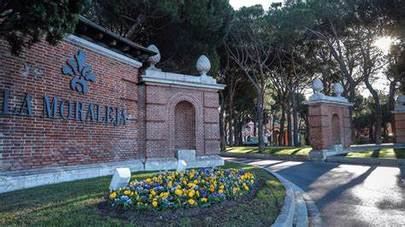 La Moraleja comienza la renovación de jardinería de la entrada principal