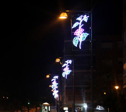 Las luces de Navidad se encienden el día 3 de diciembre