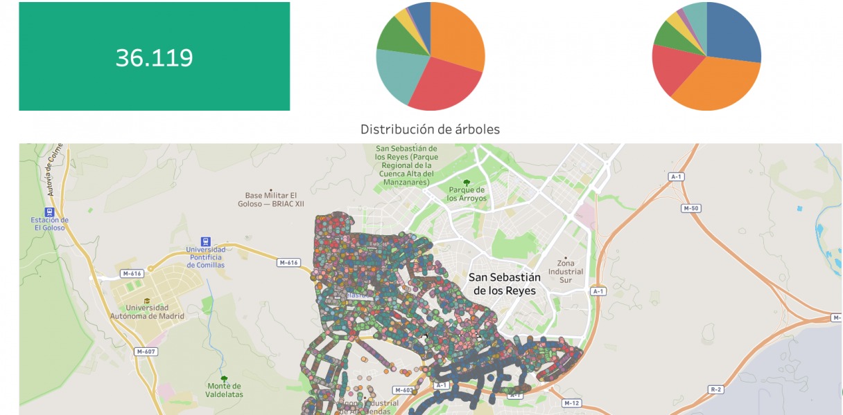 Conoce toda la información de los árboles de la ciudad