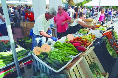 Mercados agroecológicos de Alcobendas