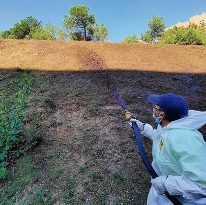 Un muro ecológico para evitar la erosión