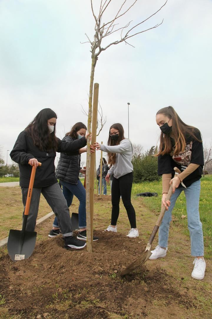 Programa para la plantación de 1.200 árboles hasta 2023