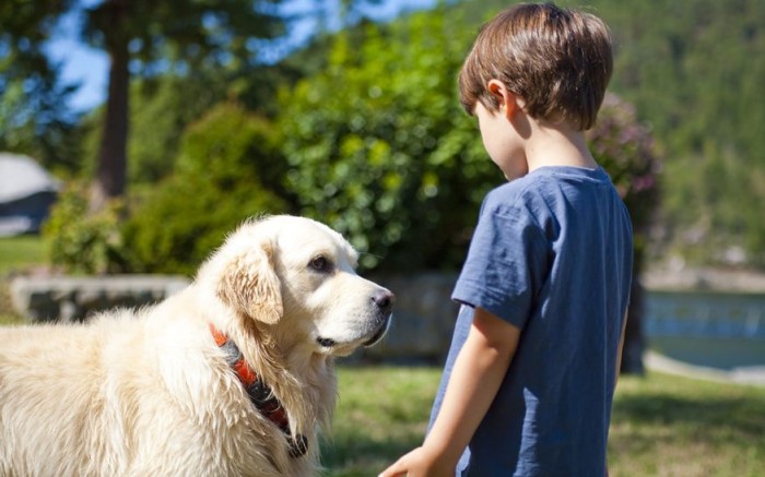 Trabajo con perros para mejorar las habilidades de aprendizaje