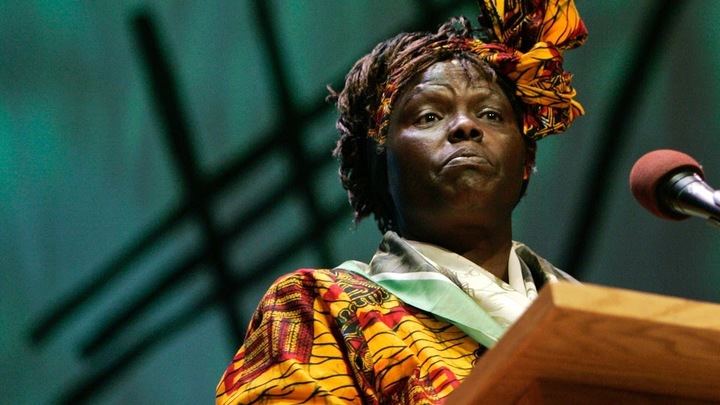 Sanse rinde homenaje Wangari Maathai