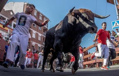 El pleno municipal aboga por unas fiestas seguras