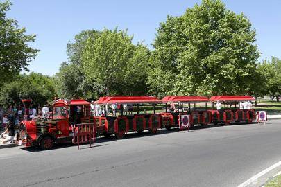 El Tren del Arte vuelve a circular