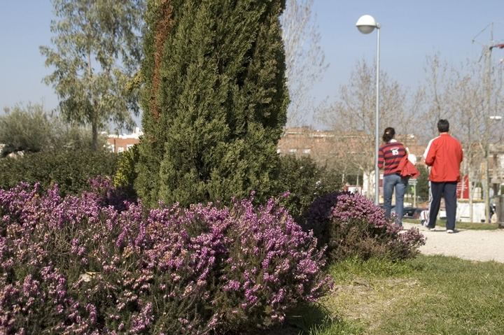 El Presupuesto 2020 de Sanse incluye un nuevo contrato para las zonas verdes