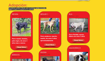 "Sanse Adopta" servicio de rescate para mascotas abandonadas