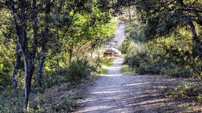 Vuelve la naturaleza a Alcobendas