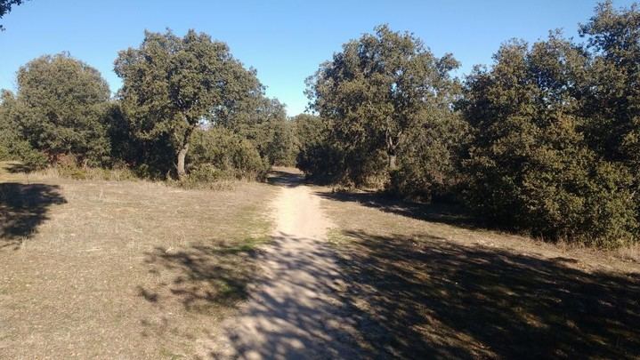 Nuevo plan de emergencia contra incendios forestales en la Comunidad de Madrid